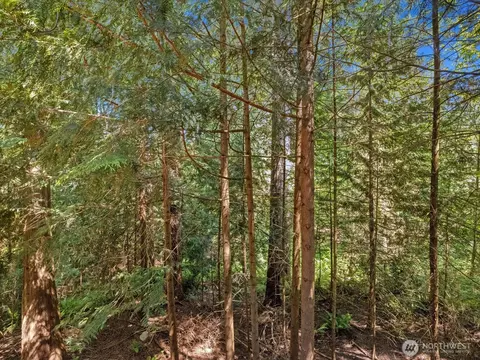 Exterior - 17116 Gravenstein Rd, Bothell, WA 98012 photo 5 of 8