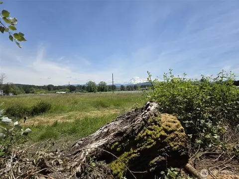 14717 168th St E, Orting, WA 98360 photo 3
