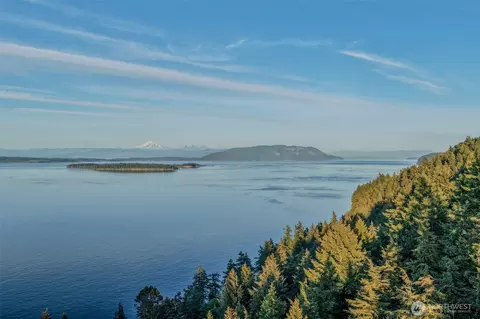 View/Area - 105 Windfall Ln, Eastsound, WA 98245 photo 4 of 6