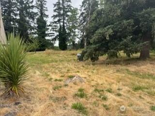 1210 N 7th Ave, Kelso, WA 98626