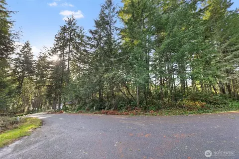 10510 Olympic Pl, Anderson Island, WA 98303