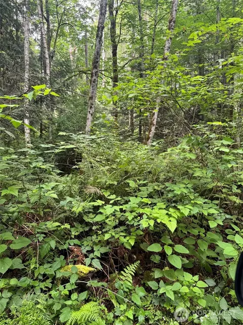 0 Nn Widme Rd NE, Poulsbo, WA 98370