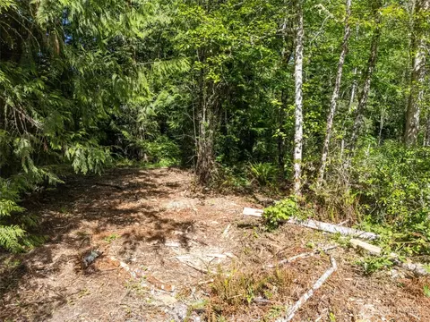 0 Nka Shauna Pl, Sequim, WA 98382 photo 25