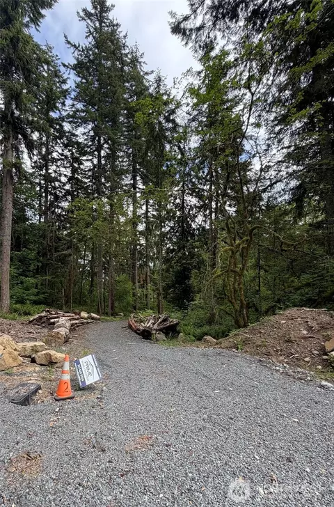 55015 315th Ave, Ashford, WA 98304