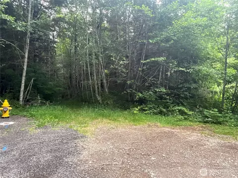 310 W Thunderbird Dr, Elma, WA 98541
