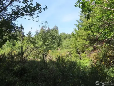 13310 159th Ave NW, Gig Harbor, WA 98329