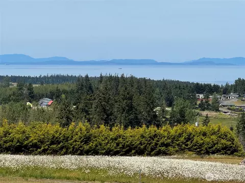 327 Clearview Ln, Sequim, WA 98382 photo 26