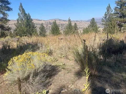 0 Tbd Reevas Basin Rd, Tonasket, WA 98855