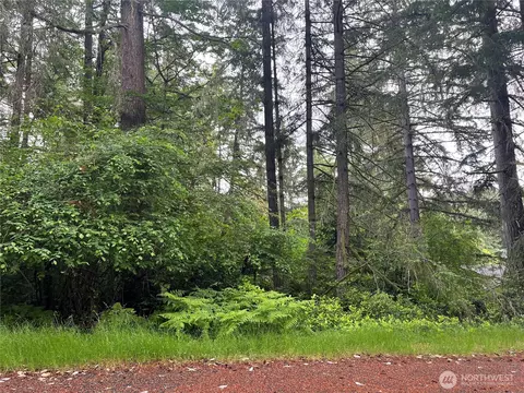 11111 Juniper Pl, Anderson Island, WA 98303