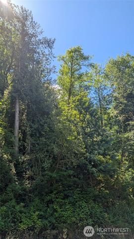 0 St Route 508 Hwy, Morton, WA 98356