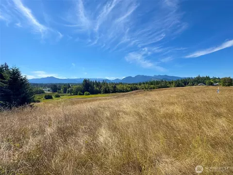 9999 Olympic Meadows Parcel 11, Port Angeles, WA 98362
