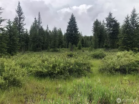 36 Corral Dr, Oroville, WA 98844