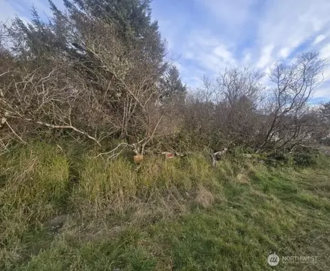 570 NE Puffin Ave, Ocean Shores, WA 98569