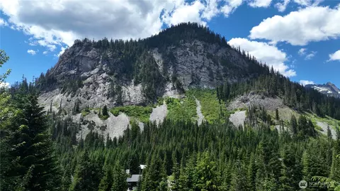 30 Saint Anton, Snoqualmie Pass, WA 98068