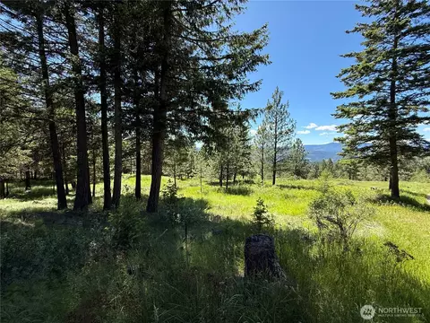 5 Hidden Spring Ranch Rd, Republic, WA 99166