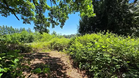 123 Mulford Rd, Toledo, WA 98591