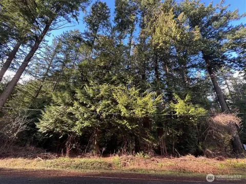 0 Lot 1 Mill Rd, Point Roberts, WA 98281