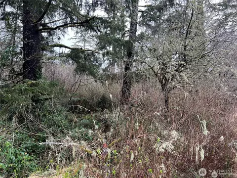 0 X 102nd Pl, Long Beach, WA 98631