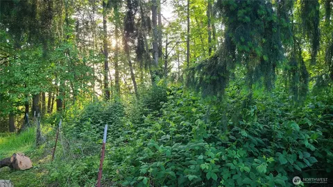 9717 254th St E, Graham, WA 98338 photo 19