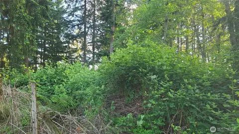 9717 254th St E, Graham, WA 98338 photo 10