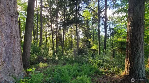 9717 254th St E, Graham, WA 98338 photo 16