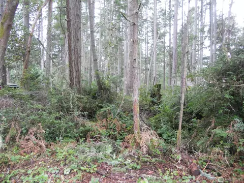 10424 107th Avenue Ct, Anderson Island, WA 98303