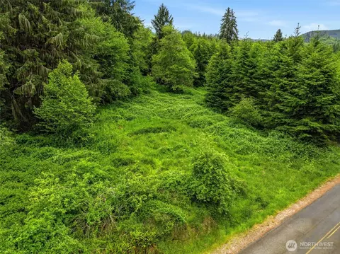 0 E Valley Rd, Skamokawa, WA 98647