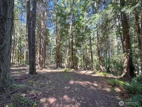 9999 N Bagley Creek Rd, Port Angeles, WA 98362