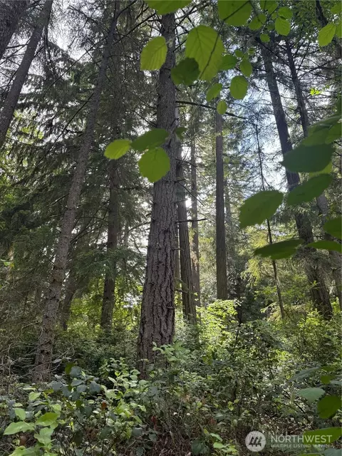 11717 Mill Pl, Anderson Island, WA 98303