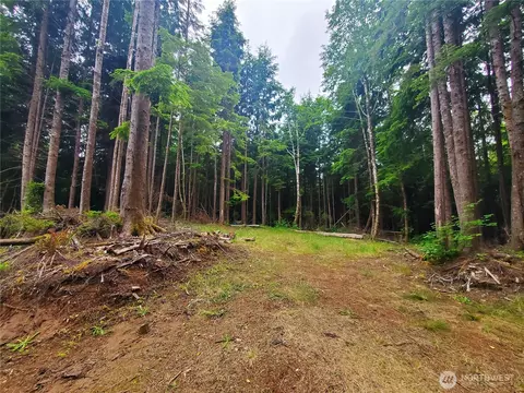 46 A North Shore Pl, Hoquiam, WA 98550
