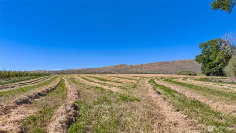 1 Borland, Ellensburg, WA 98926