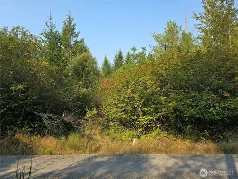 13849 Starflower Ln SE, Yelm, WA 98597