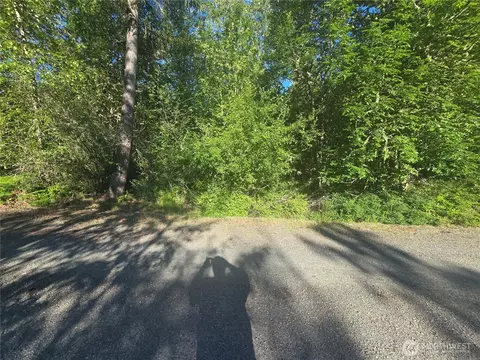 13823 Starflower Ln SE, Yelm, WA 98597