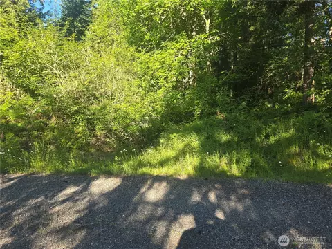 13811 Starflower Ln SE, Yelm, WA 98597