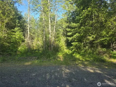 13721 Starflower Ln SE, Yelm, WA 98597