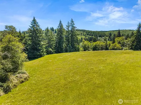 0 Ramsey Rd, Adna, WA 98522