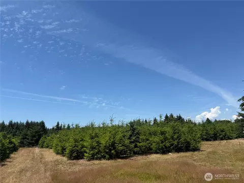 101 SE Dusty Ln, Shelton, WA 98584