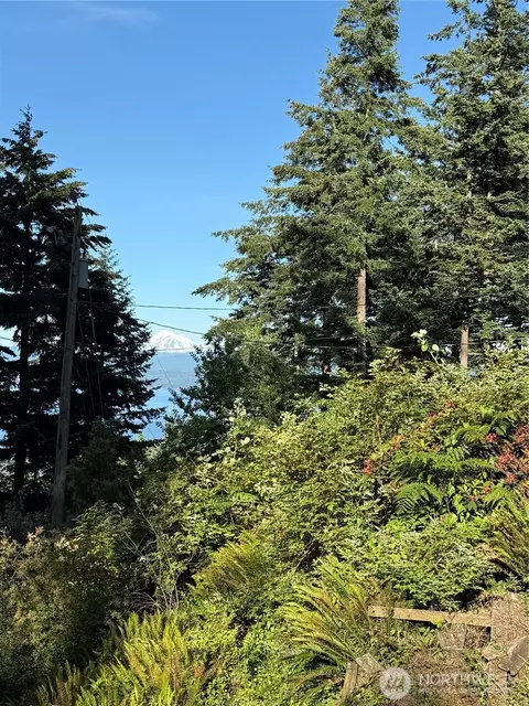 2959 Dogwood Ter, Lummi Island, WA 98262