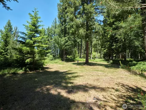 0 Loowit Ln, Cougar, WA 98616