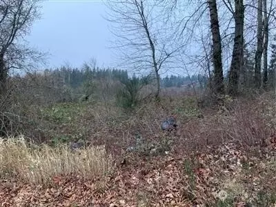 0 Lot 4 240th St SE, Kent, WA 98042