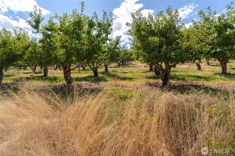 7199 Lot 3 Tarpiscan Rd, Malaga, WA 98828