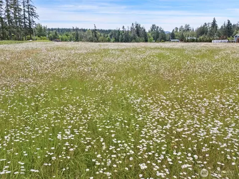 9999 Kirk Rd, Sequim, WA 98382 photo 16