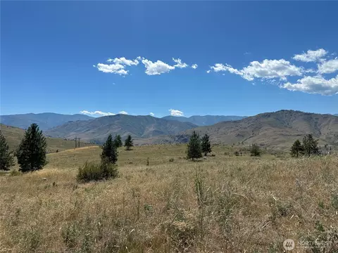 0 Tbd Peterson Ranch Rd, Pateros, WA 98846