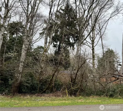 308 Lake View Loop NE, Ocean Shores, WA 98569