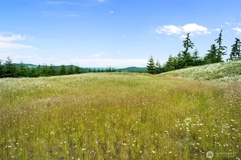 104 Bootjack Ln, Kelso, WA 98626