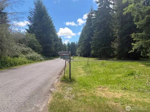 11843 Blue Glacier Ln SE, Yelm, WA 98597