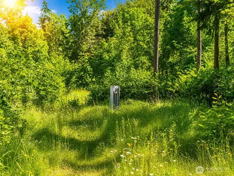 19509 161st Way SE, Yelm, WA 98597