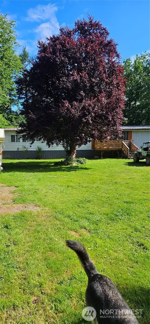 1009 Dyer Rd, Sultan, WA 98294