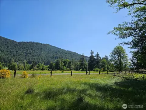 0 Park Junction Rd E, Elbe, WA 98330 photo 4
