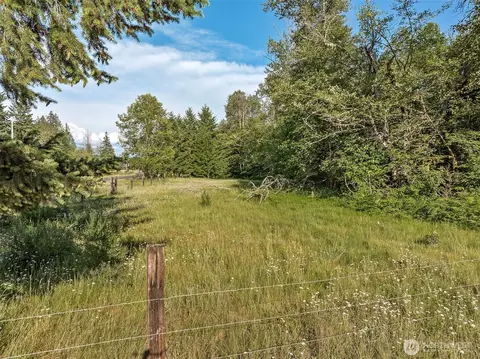0 Park Junction Rd E, Elbe, WA 98330 photo 14